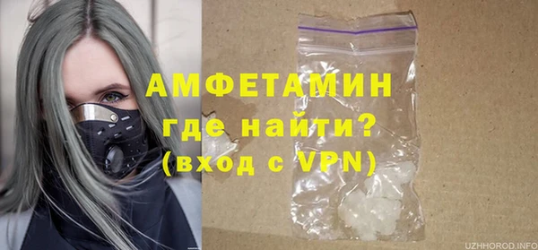 стаф Алзамай