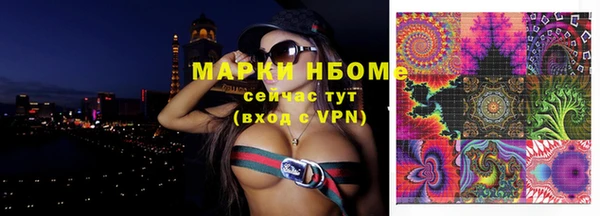 стаф Алзамай