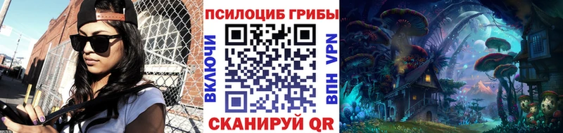 Галлюциногенные грибы Psilocybine cubensis  закладка  Фатеж 